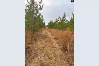 Qbf 9 Quattlebaum Road Qbf 9, Leesville, SC 29070 - Photo 3
