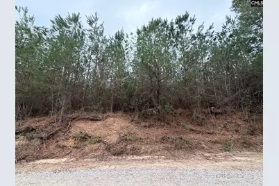 Bff II 2 Jc Barefoot Road Bff II 2, Patrick, SC 29854 - Photo 5