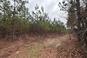 Bff II 3 Jc Barefoot Road Bff II 3, Patrick, SC 29854 - Photo 1