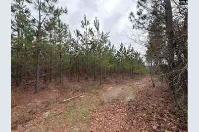 Bff II 3 Jc Barefoot Road Bff II 3, Patrick, SC 29854 - Photo 23