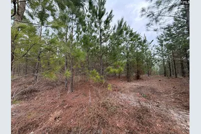 Bff II 3 Jc Barefoot Road Bff II 3, Patrick, SC 29854 - Photo 19