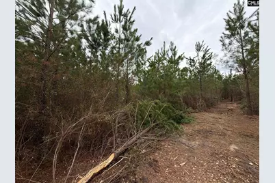 Bff II 3 Jc Barefoot Road Bff II 3, Patrick, SC 29854 - Photo 9