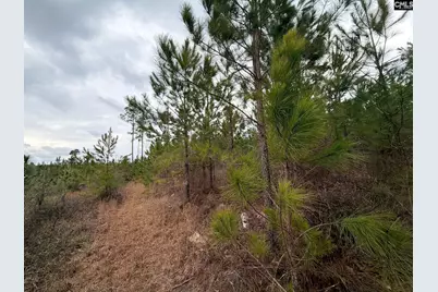 Bff II 3 Jc Barefoot Road Bff II 3, Patrick, SC 29854 - Photo 15