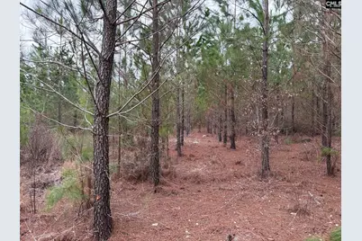 Bff II 3 Jc Barefoot Road Bff II 3, Patrick, SC 29854 - Photo 7