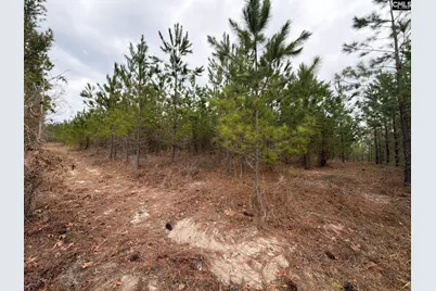 Bff II 3 Jc Barefoot Road Bff II 3, Patrick, SC 29854 - Photo 21