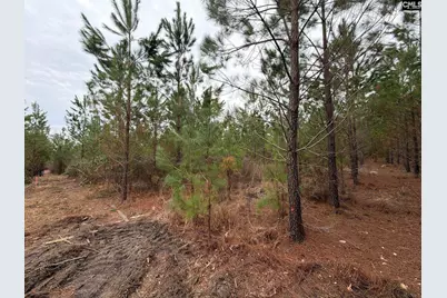 Bff II 3 Jc Barefoot Road Bff II 3, Patrick, SC 29854 - Photo 5