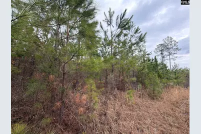 Bff II 3 Jc Barefoot Road Bff II 3, Patrick, SC 29854 - Photo 17