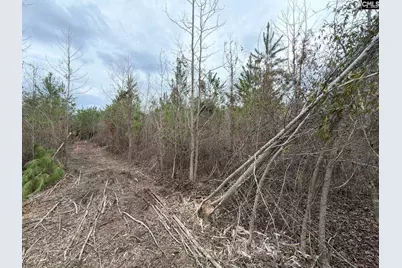 Bff II 4 Jc Barefoot Road Bff II 4, Patrick, SC 29854 - Photo 19