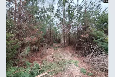 Bff II 4 Jc Barefoot Road Bff II 4, Patrick, SC 29854 - Photo 15