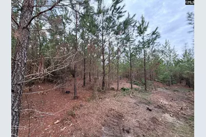 Bff II 4 Jc Barefoot Road Bff II 4, Patrick, SC 29854 - Photo 29