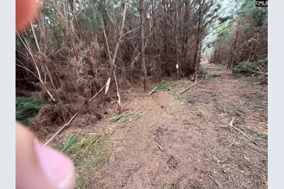 Bff II 4 Jc Barefoot Road Bff II 4, Patrick, SC 29854 - Photo 25