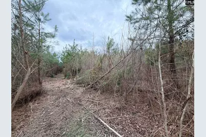 Bff II 4 Jc Barefoot Road Bff II 4, Patrick, SC 29854 - Photo 21