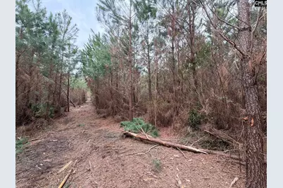 Bff II 4 Jc Barefoot Road Bff II 4, Patrick, SC 29854 - Photo 23