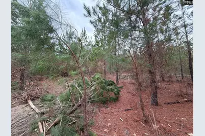 Bff II 4 Jc Barefoot Road Bff II 4, Patrick, SC 29854 - Photo 27