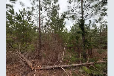 Bff II 5 Brunson Teal Road Bff II 5, Patrick, SC 29854 - Photo 19