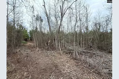 Bff II 5 Brunson Teal Road Bff II 5, Patrick, SC 29854 - Photo 7