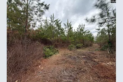 Bff II 5 Brunson Teal Road Bff II 5, Patrick, SC 29854 - Photo 27