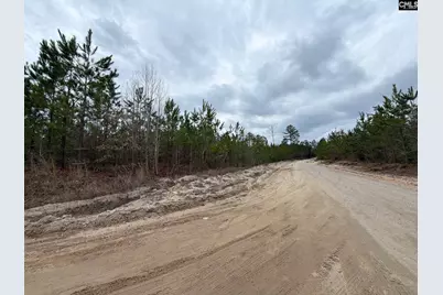 Bff II 5 Brunson Teal Road Bff II 5, Patrick, SC 29854 - Photo 3