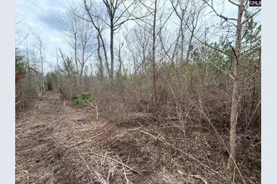 Bff II 5 Brunson Teal Road Bff II 5, Patrick, SC 29854 - Photo 11