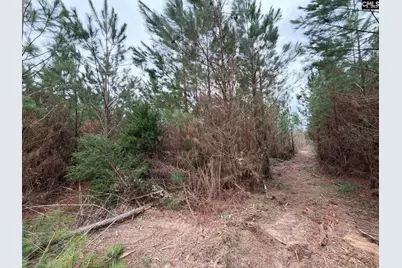 Bff II 5 Brunson Teal Road Bff II 5, Patrick, SC 29854 - Photo 5