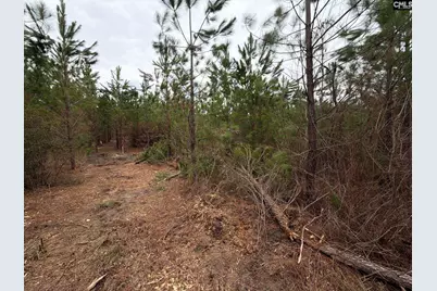 Bff II 5 Brunson Teal Road Bff II 5, Patrick, SC 29854 - Photo 17