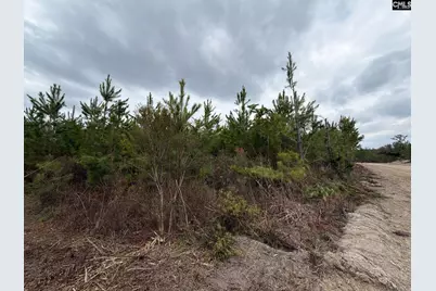 Bff II 5 Brunson Teal Road Bff II 5, Patrick, SC 29854 - Photo 29