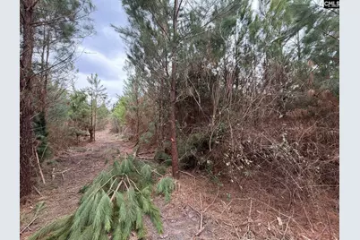 Bff II 5 Brunson Teal Road Bff II 5, Patrick, SC 29854 - Photo 25