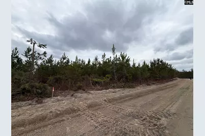 Bff II 5 Brunson Teal Road Bff II 5, Patrick, SC 29854 - Photo 31