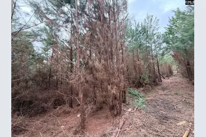 Bff II 5 Brunson Teal Road Bff II 5, Patrick, SC 29854 - Photo 13