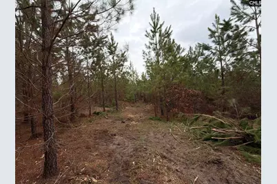 Bff II 5 Brunson Teal Road Bff II 5, Patrick, SC 29854 - Photo 15