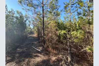 Bff II 6 Brunson Teal Road Bff II 6, Patrick, SC 29854 - Photo 11