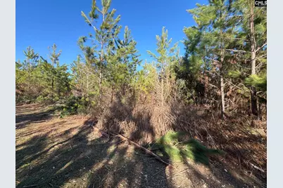 Bff II 6 Brunson Teal Road Bff II 6, Patrick, SC 29854 - Photo 7