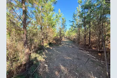 Bff II 6 Brunson Teal Road Bff II 6, Patrick, SC 29854 - Photo 3