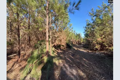 Bff II 6 Brunson Teal Road Bff II 6, Patrick, SC 29854 - Photo 9