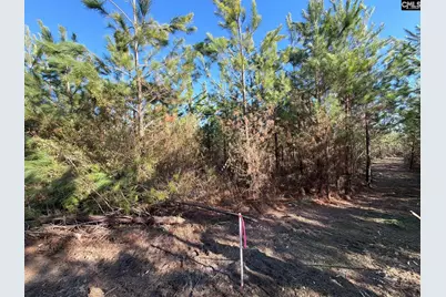 Bff II 6 Brunson Teal Road Bff II 6, Patrick, SC 29854 - Photo 5