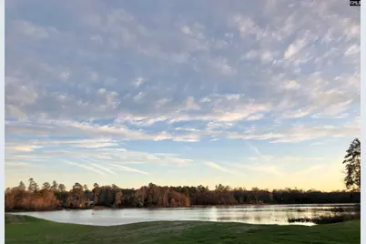 405 Litchfield Lane, Lexington, SC 29072 - Photo 37