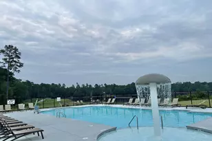 405 Litchfield Ln, Lexington, SC 29072 - Photo 37