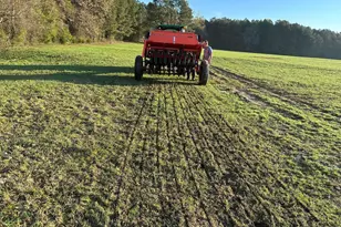 637 Belfast Rd, Newberry, SC 29108 - Photo 69