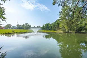 637 Belfast Rd, Newberry, SC 29108 - Photo 29