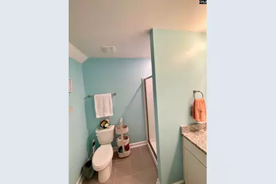 2610 Pawtucket Way, Chapin, SC 29036 - Photo 27