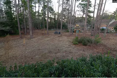 123 Valley Springs Road, Columbia, SC 29223 - Photo 27