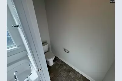 1530 Garrett Court, Chapin, SC 29036 - Photo 17