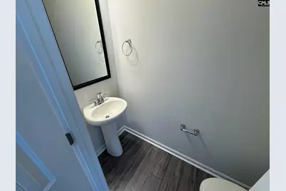 1530 Garrett Court, Chapin, SC 29036 - Photo 9