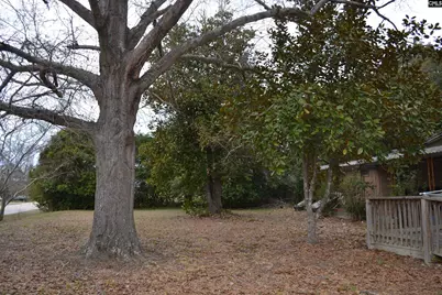 56 Ward Road, Lugoff, SC 29078 - Photo 25