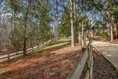 129 Tiger Paw Lane, Irmo, SC 29063 - Photo 59