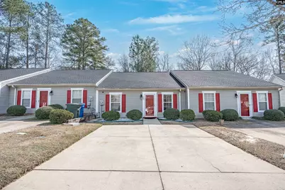 105 Thorn Tree Court, Columbia, SC 29212 - Photo 1