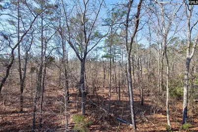 13 Crockett Drive, Lugoff, SC 29078 - Photo 33