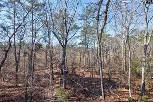 13 Crockett Dr, Lugoff, SC 29078 - Photo 33