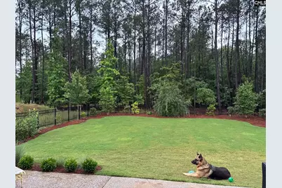 150 Stewart Landing Drive, Prosperity, SC 29127 - Photo 73