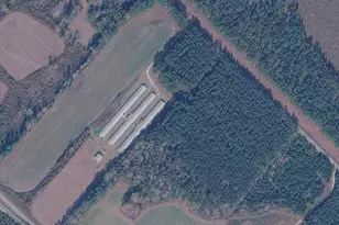 0 Bryant Rd, Reevesville, SC 29471 - Photo 1